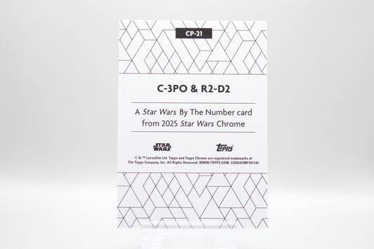 CP-21 - C-3PO & R2-D2