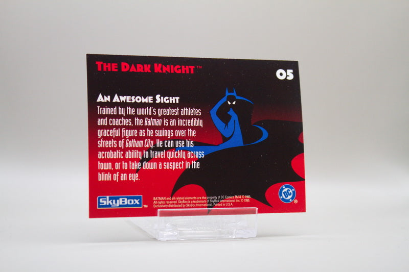 5 - The Dark Knight - An Awesome Sight