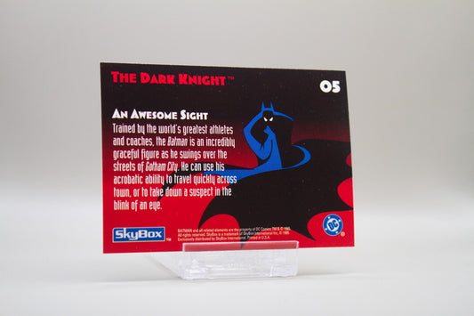 5 - The Dark Knight - An Awesome Sight