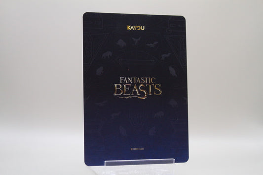 WW-T01-FSR03 - Tina Goldstein