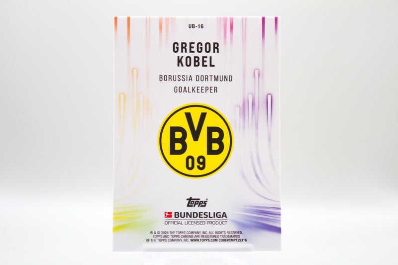 UB-16 - Gregor Kobel