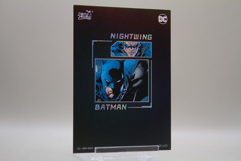 DC-SM-005 L4 - Batman & Nightwing