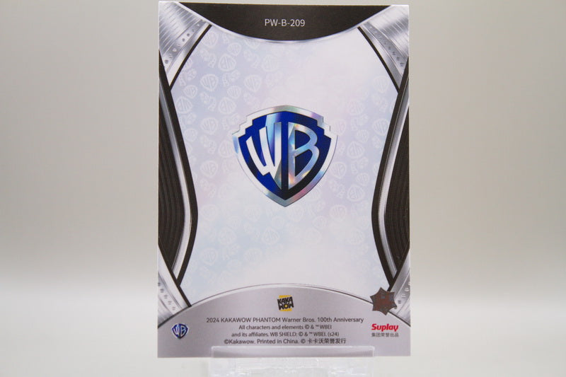 PW-B-209 - Grey Matter