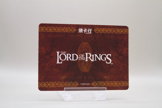 ZHW01-PT - Left middle