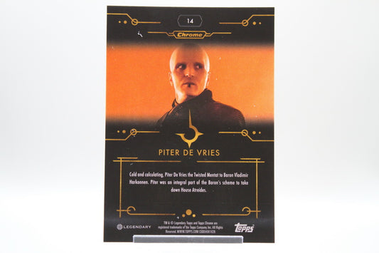 14 - Piter de Vries