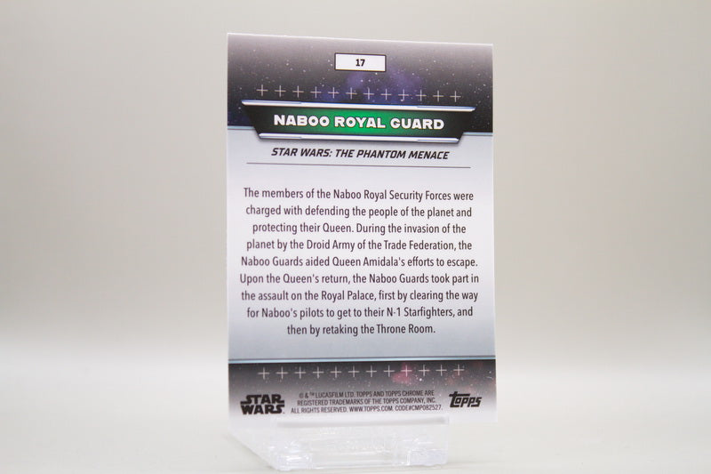 17 - Naboo - Naboo Royal Guard