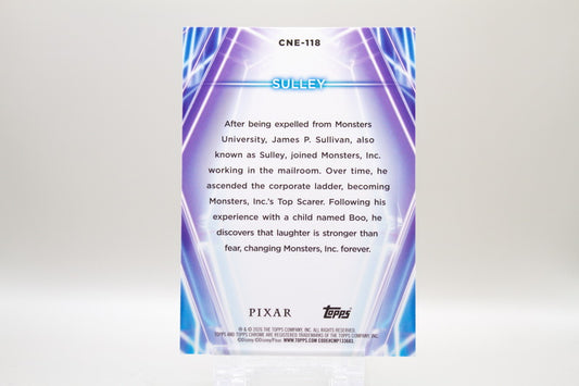 CNE-118 - Sully