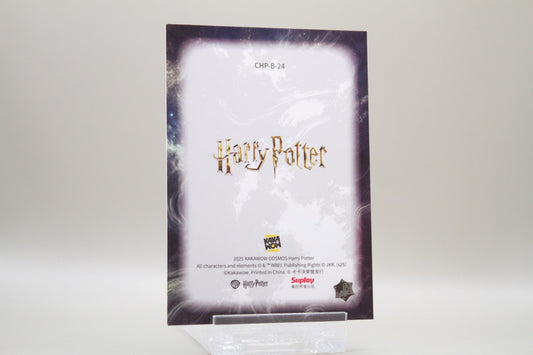 CHP-B-24 - Neville Longbottom