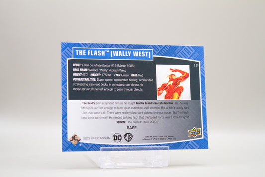12 - The Flash (Wally West)