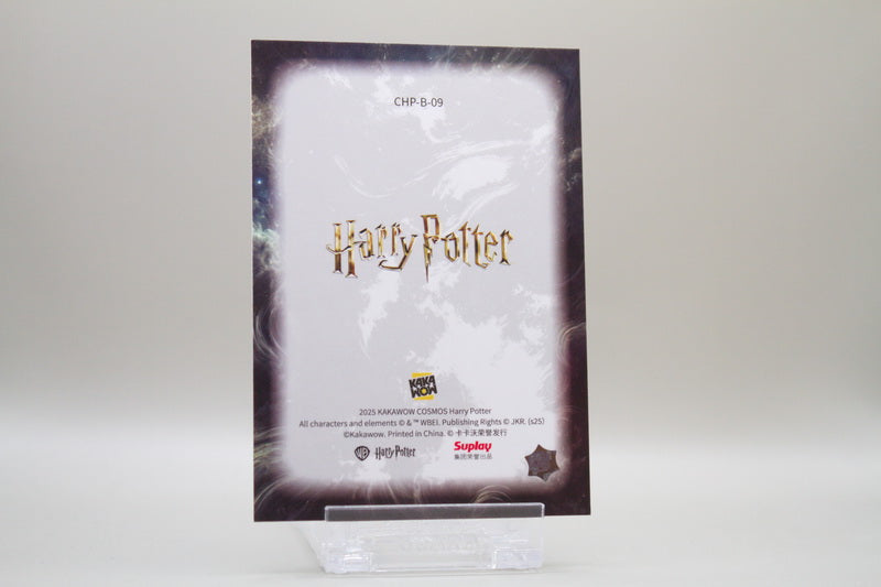 CHP-B-09 - Hermione Granger