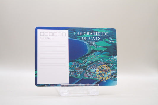 SSR 08 - Ponyo on the Cliff