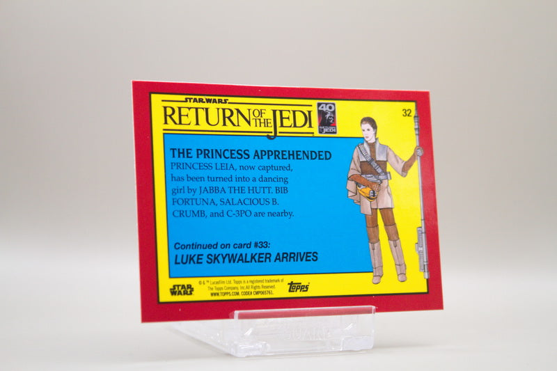 32 - The Princess Apprehended