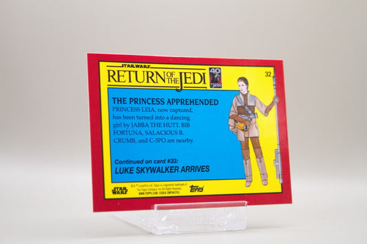 32 - The Princess Apprehended