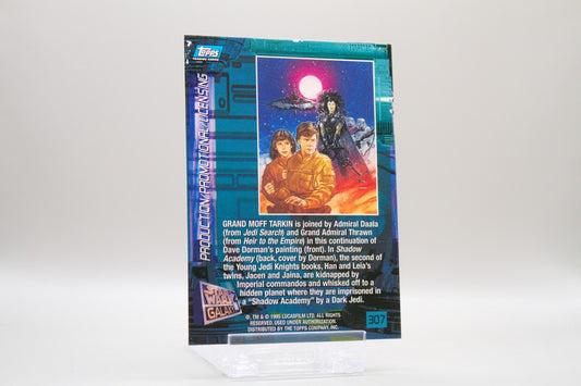 307 - Production/Promotional/Licensing