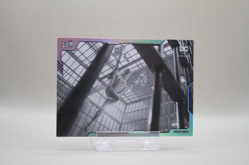 DC-JQ-015 L1 - Suicide Squad