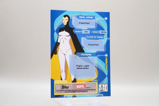 14 - Common Bronze - Manta