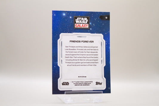 18 - Friends Forever