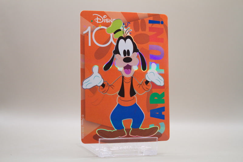 D100-SR19 - Goofy