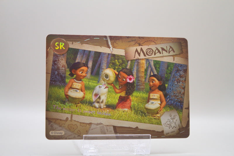 DM-SR05 - The Water is sweet inside