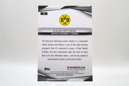 Borussia Dortmund Base Lot #6 - 10 Karten