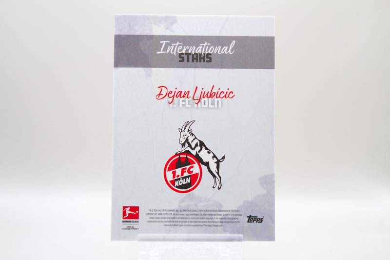Dejan Ljubičić 09/10