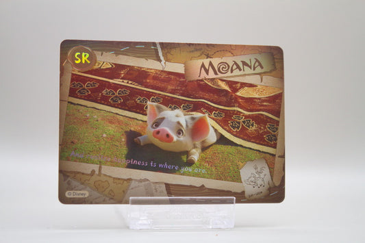 DM-SR04 - And realize happines is where you are