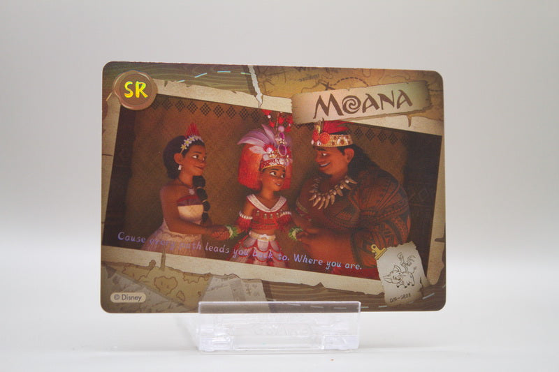 DM-SR08 - Cause every path leads you back to. Where you are