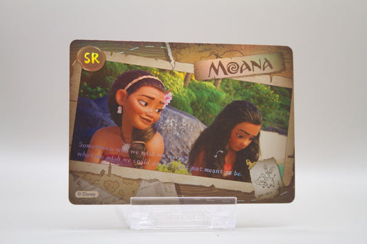 DM-SR10 - Sometimes, who we wish we were, what we wish we could do, it's just not meant to be