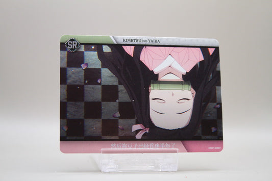 KNY1-SR07 - Then Nezuko have been in coma for half a year