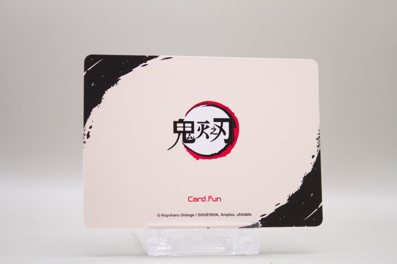 KNY1-SR07 - Then Nezuko have been in coma for half a year