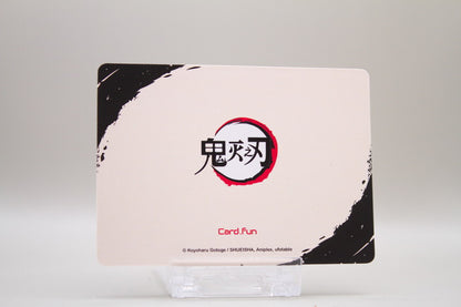 KNY1-SR07 - Then Nezuko have been in coma for half a year