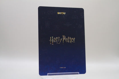 WW-T01-SSR05 - Draco Malfoy