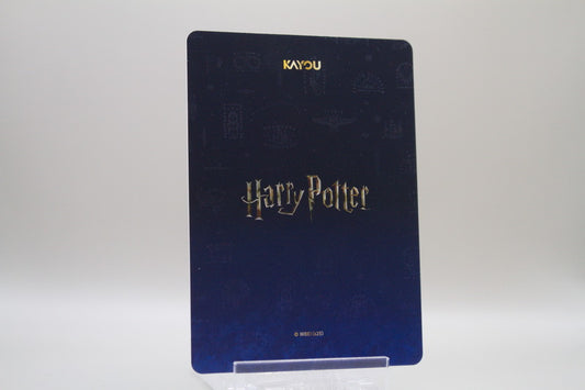 WW-T01-SSR05 - Draco Malfoy