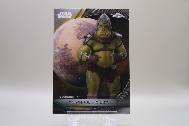 73 - Gamorean Guard