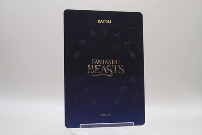 WW-T01-FSR03 - Tina Goldstein