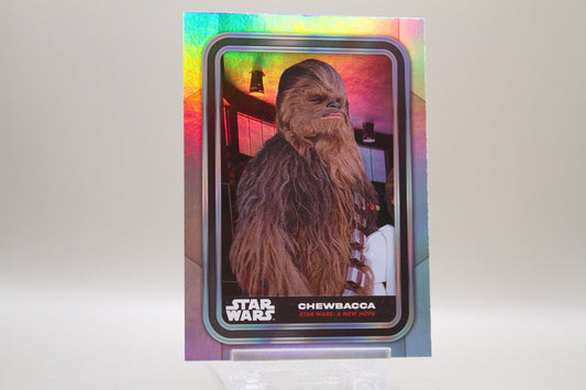 93 - Chewbacca