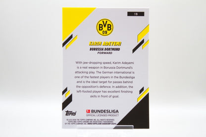 Borussia Dortmund Base Lot #3 - 10 Karten