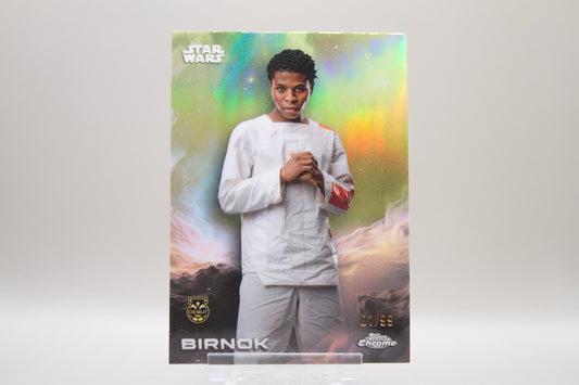 8 - Birnok 01/99
