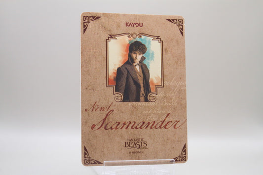 WW-T01-MSR02 - Bowtruckle