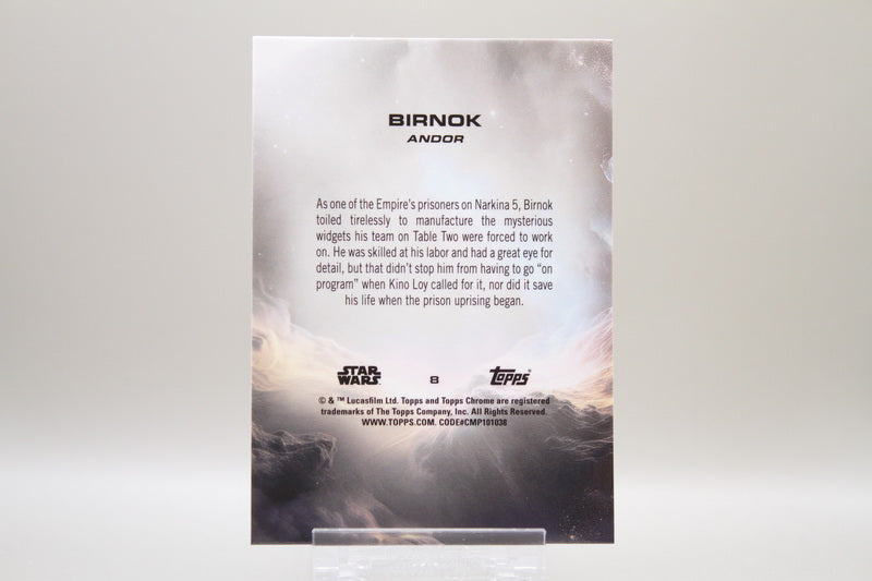 8 - Birnok 01/99