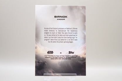 8 - Birnok 01/99