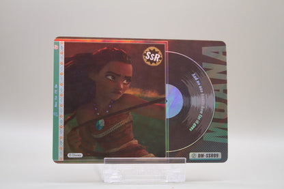 DM-SSR09 - And no on knows how far it goes