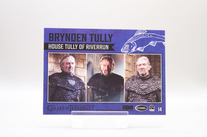 14 - Brynden Tully