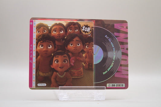 DM-SSR19 - But the voice inside sings a different song