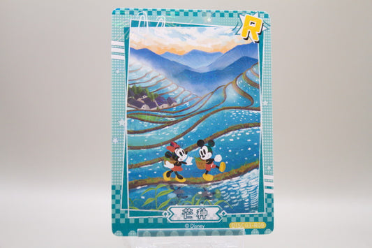 DISC03-R09 - Miscanthus