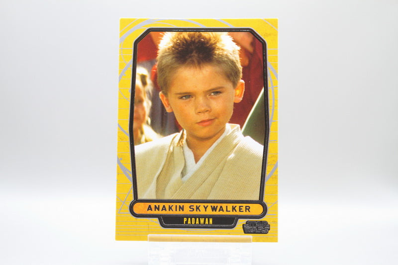 378 - Anakin Skywalker