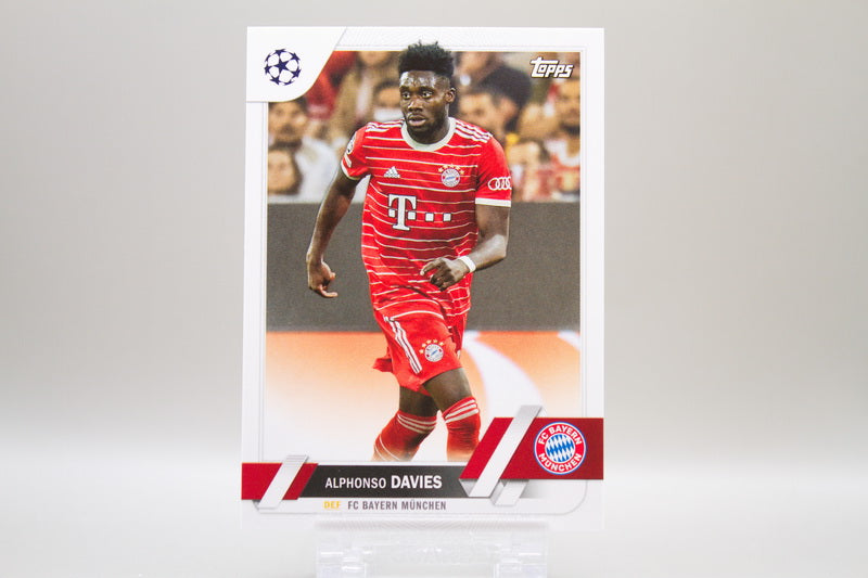 FC Bayern München Base Lot #2 - 8 Karten