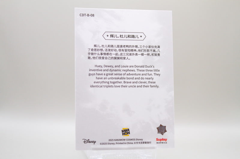 CDT-B-08 - Huey & Dewey & Louie