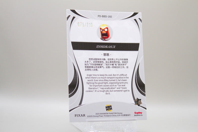 PD-BBD-160 - Anger /210