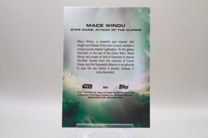 85 - Mace Windu (RayWave Refractor)